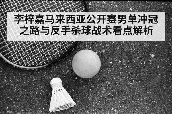 badminton racket shuttlecock court